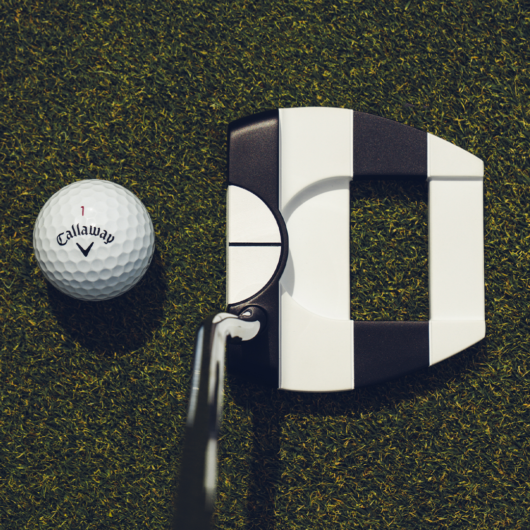 Ai-DUAL Jailbird 1/2 Ball Cruiser Putter image 2