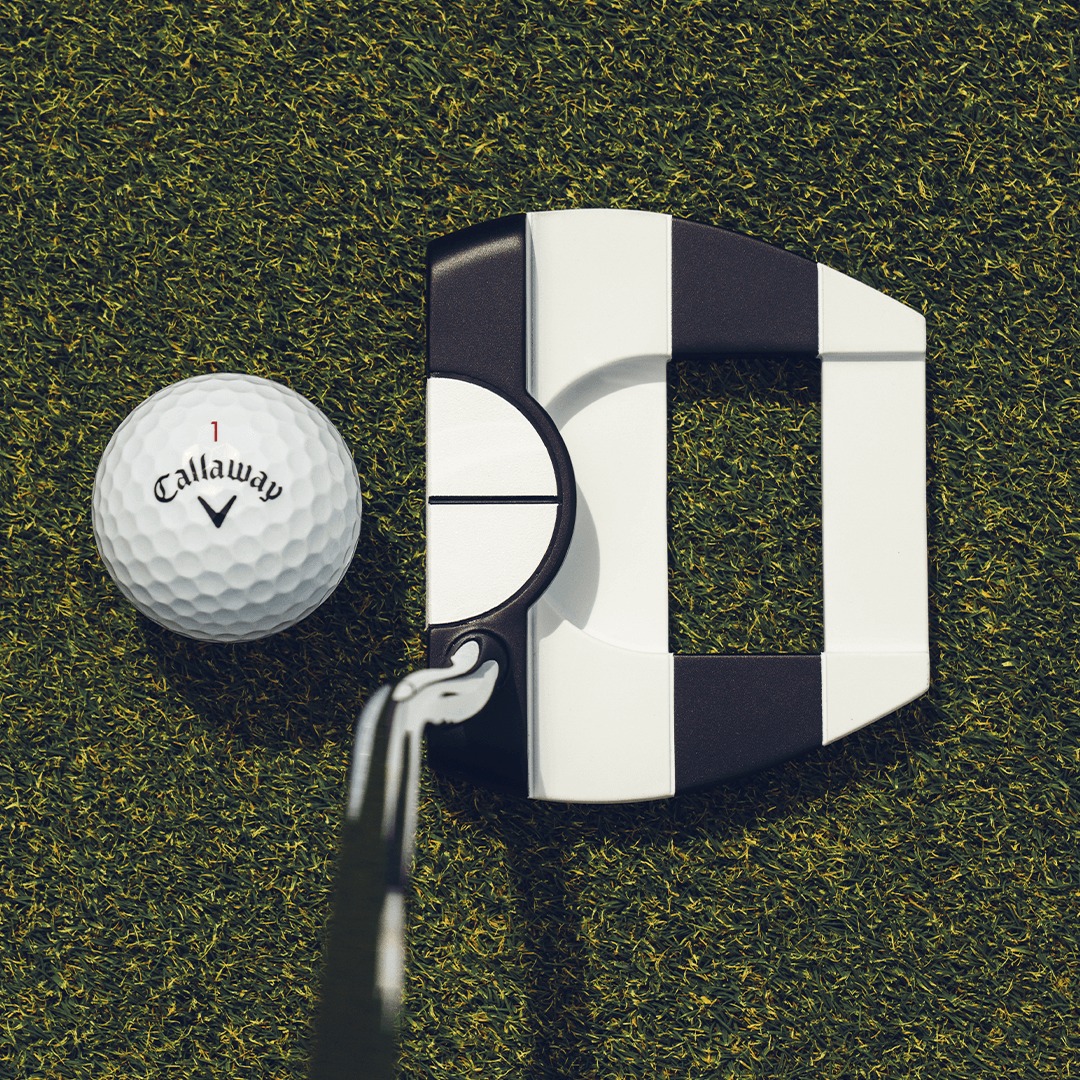 Ai-DUAL Jailbird Mini ½ Ball Putter image 2