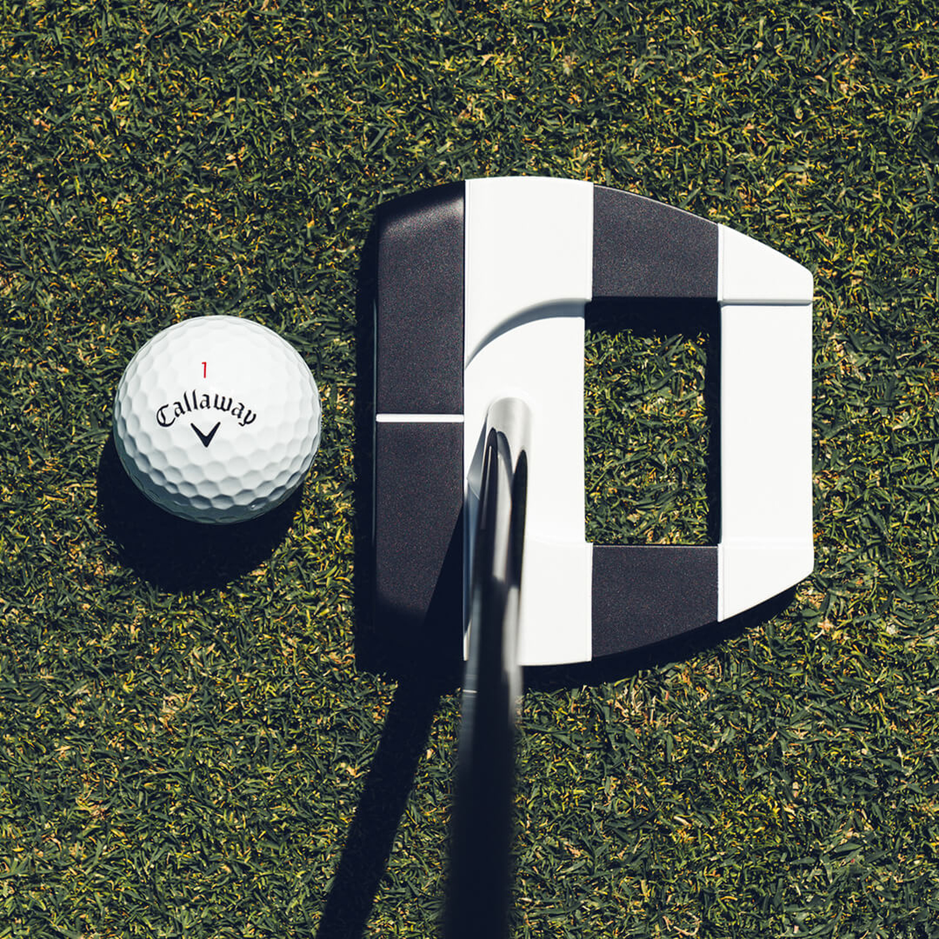 Ai-DUAL Square 2 Square Jailbird Center Shaft Putter image 9
