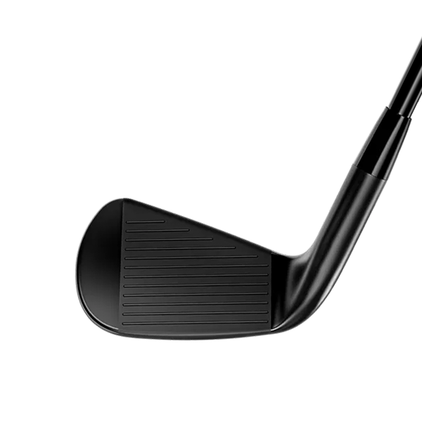 Titleist T100 LE Black Irons image 2