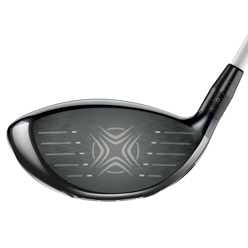 Big Bertha Alpha 815 Drivers - View 2