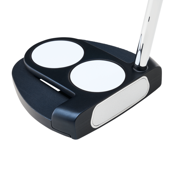 Ai-ONE 2-Ball Jailbird Mini DB Putter Technology Item