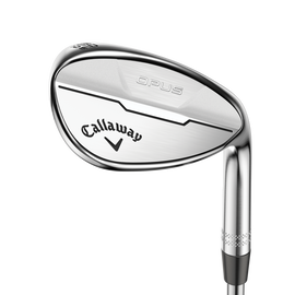 Women's Opus Brushed Chrome Wedges