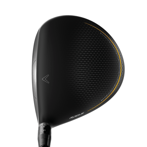 Rogue ST MAX LS Drivers - View 2