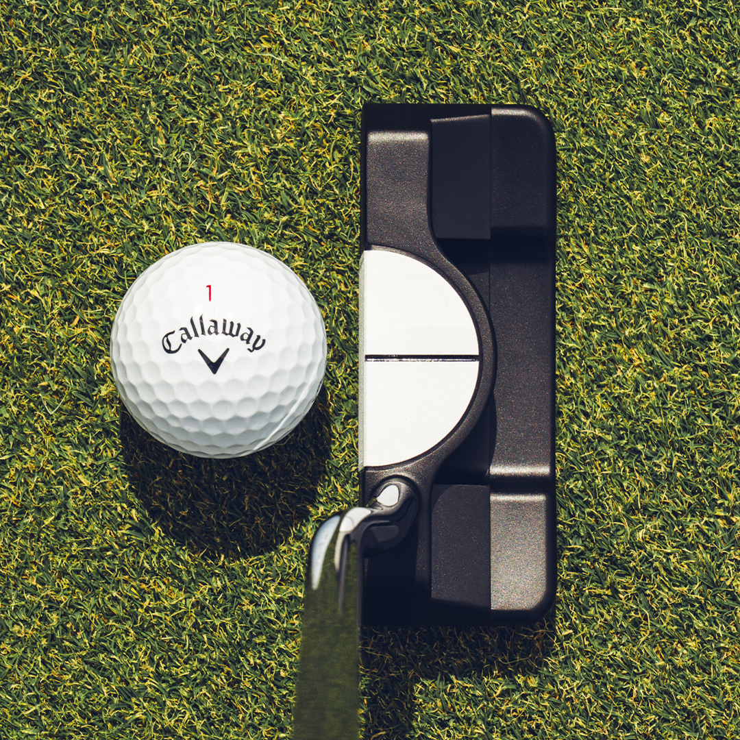 Ai-DUAL Double Wide ½ Ball Putter image 2