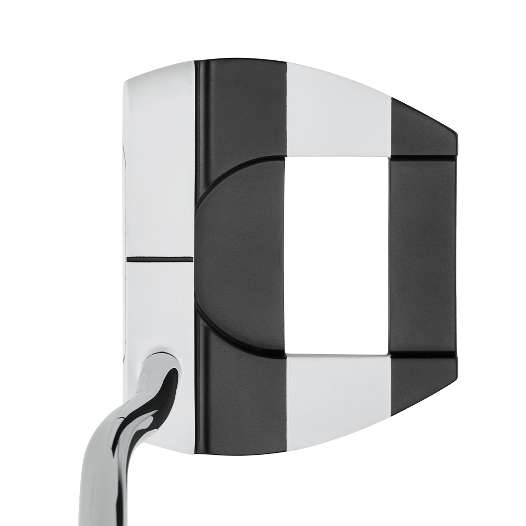 Ai-DUAL Jailbird Mini Putter image 3