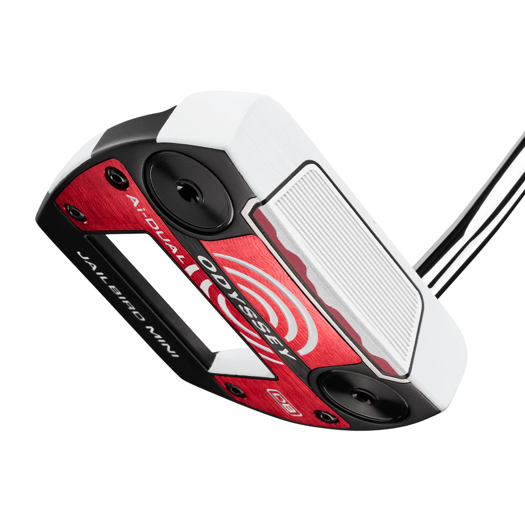 Ai-DUAL Jailbird Mini Putter image 5