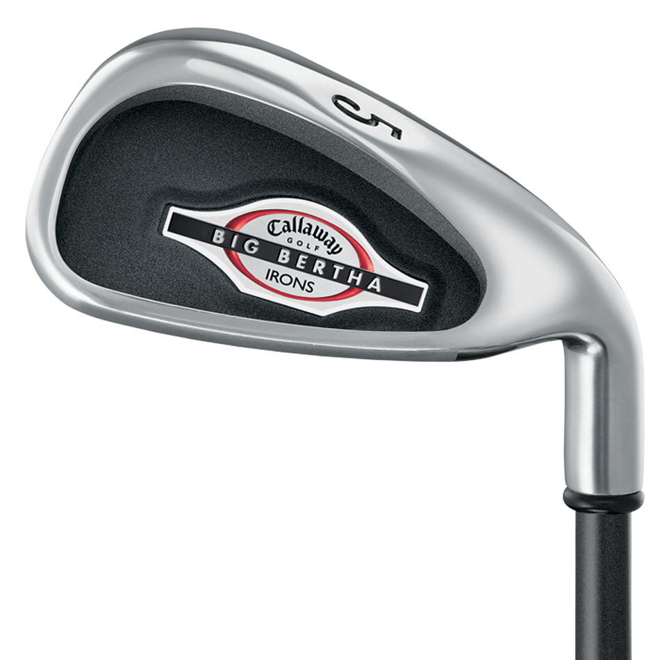 Big Bertha Irons (2002) image 3