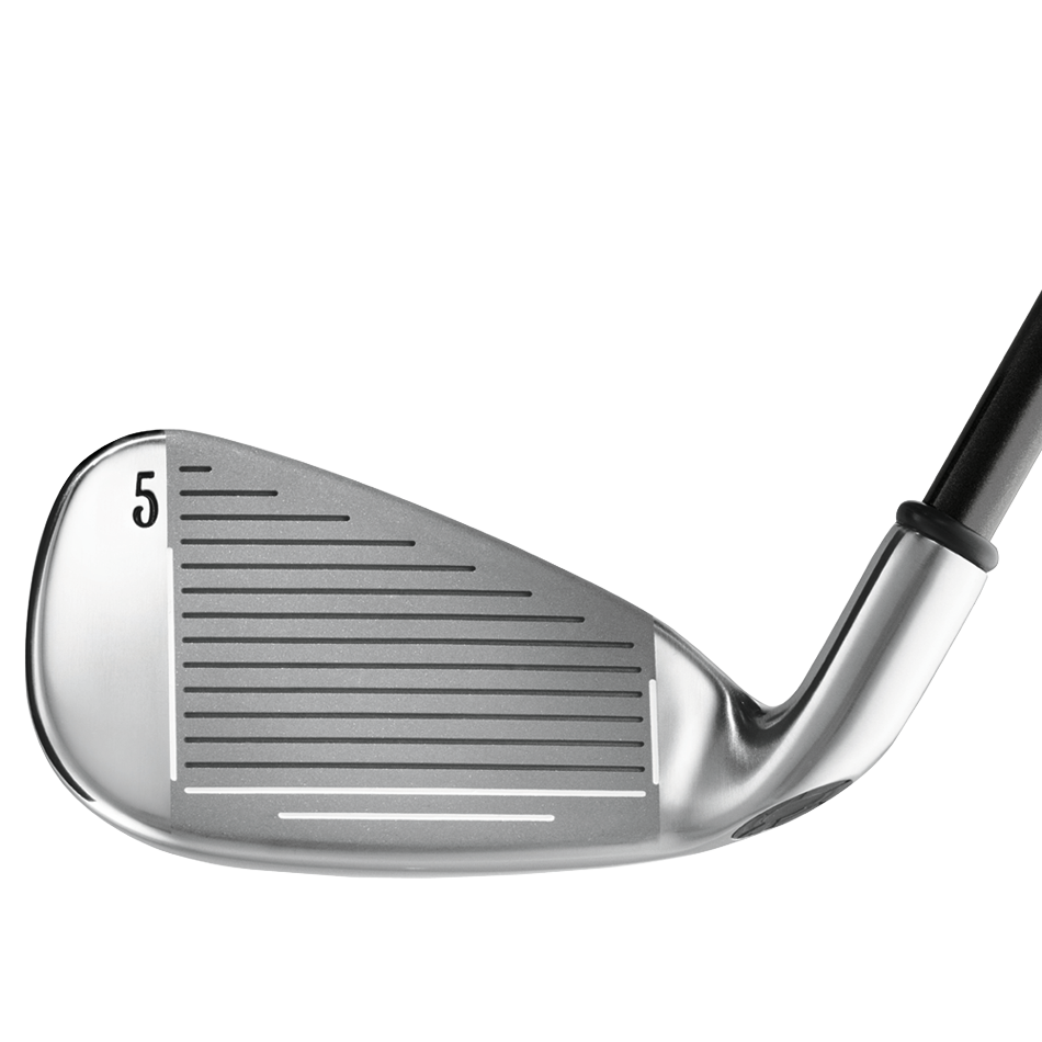 Big Bertha Irons (2002) image 2