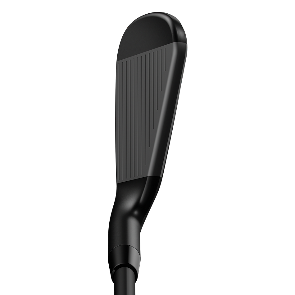 Rogue Pro Black Irons image 3