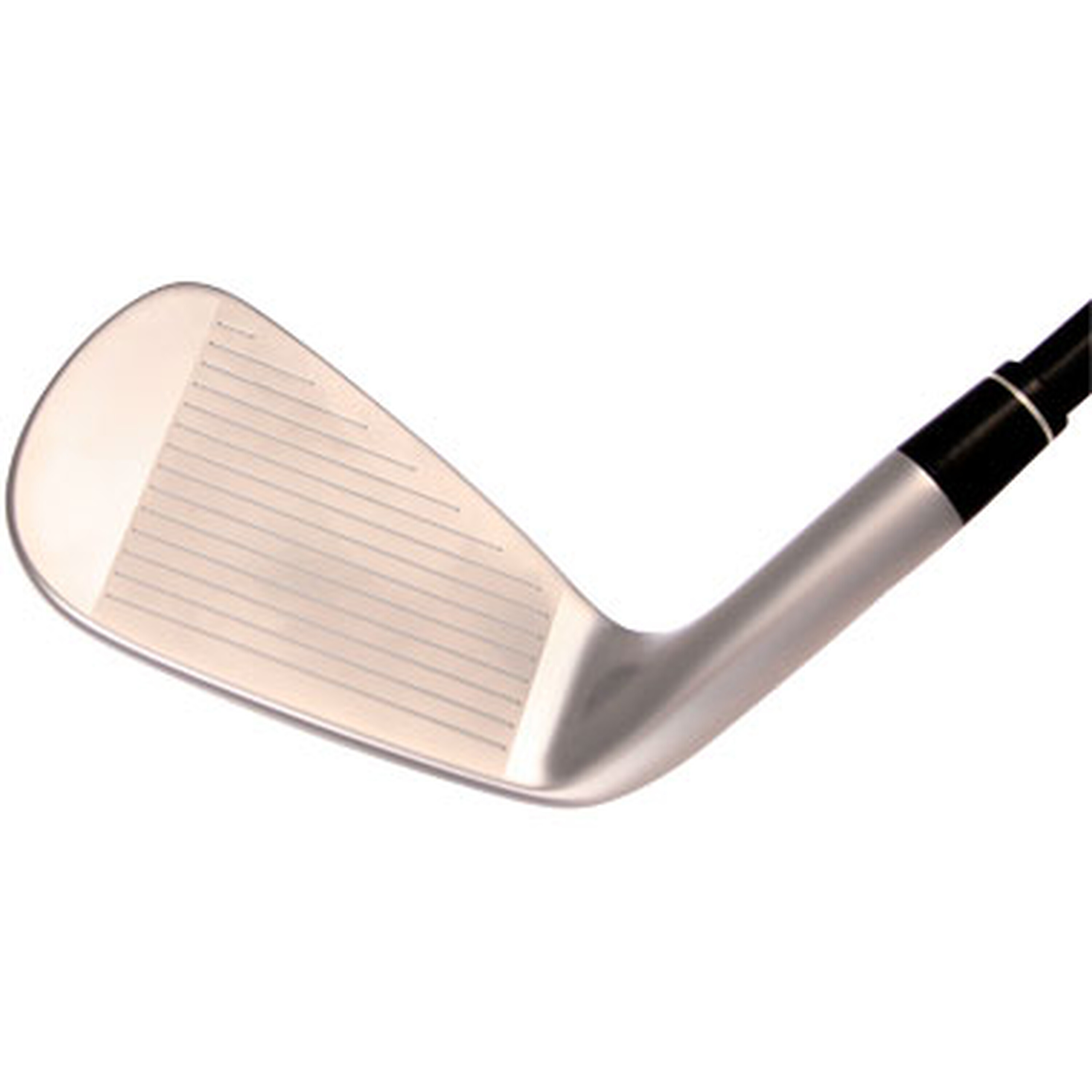 Big Bertha Diablo Forged Irons (European Version) image 11