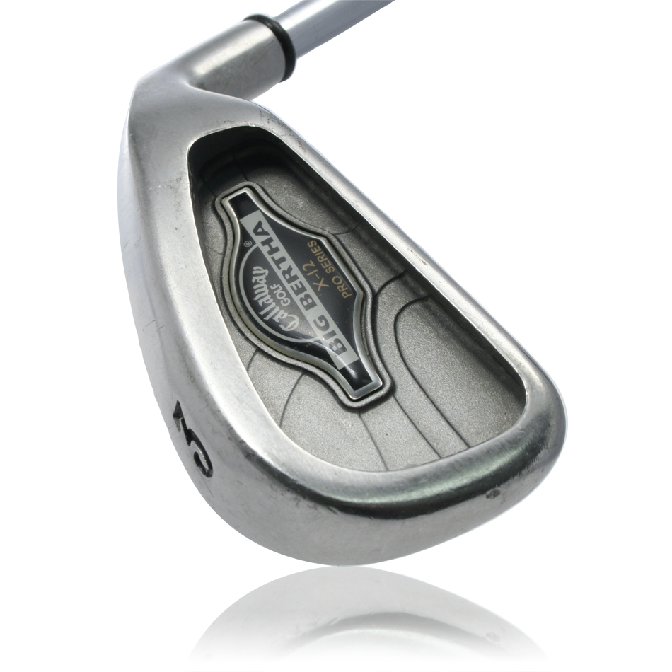 Big Bertha X-12 Pro Series Irons image 1
