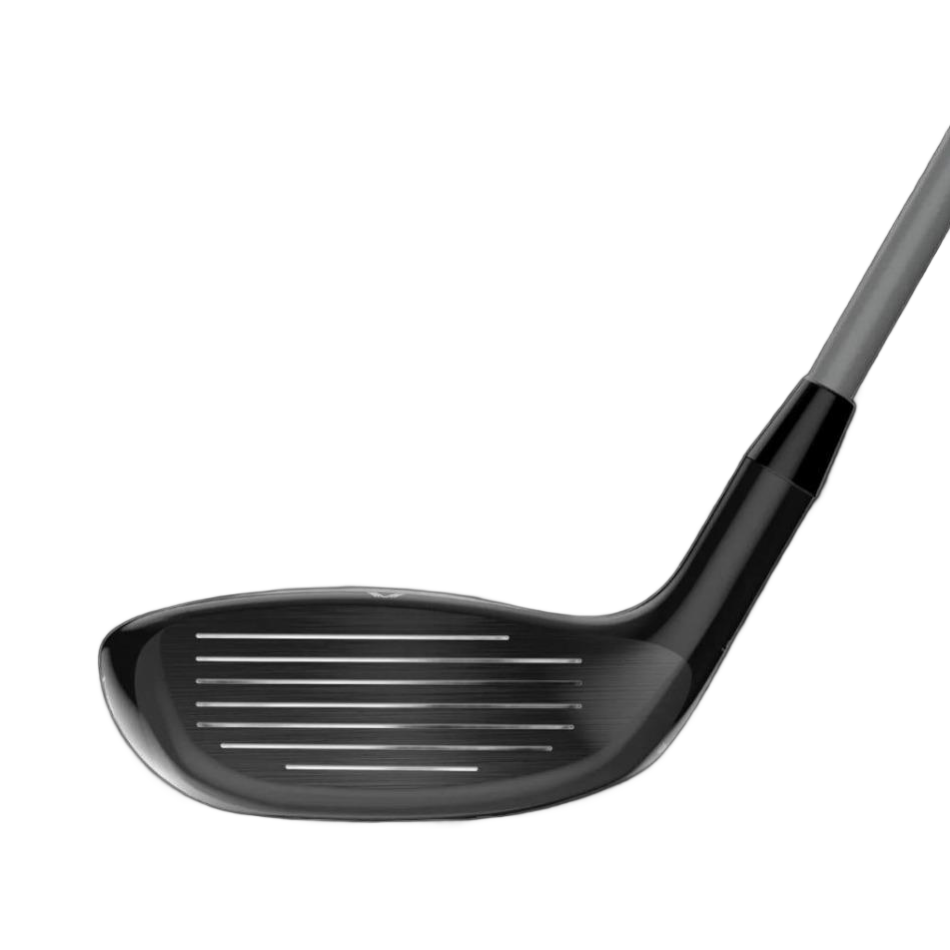 D7 Hybrids image 2