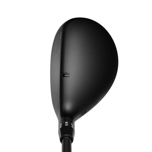 Cobra DS-ADAPT Hybrid - View 2
