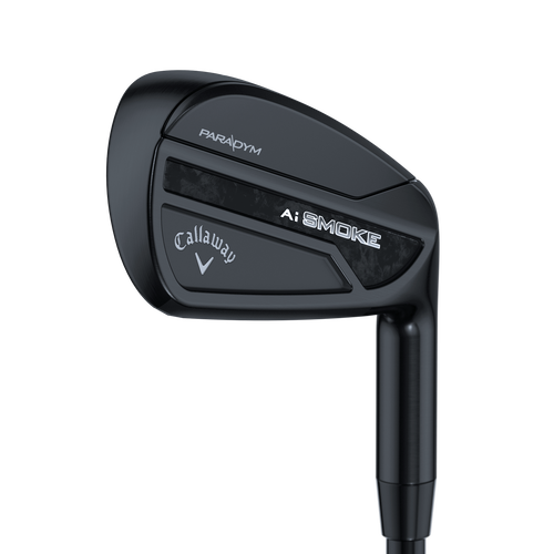 Paradym Ai Smoke Black Irons - View 1
