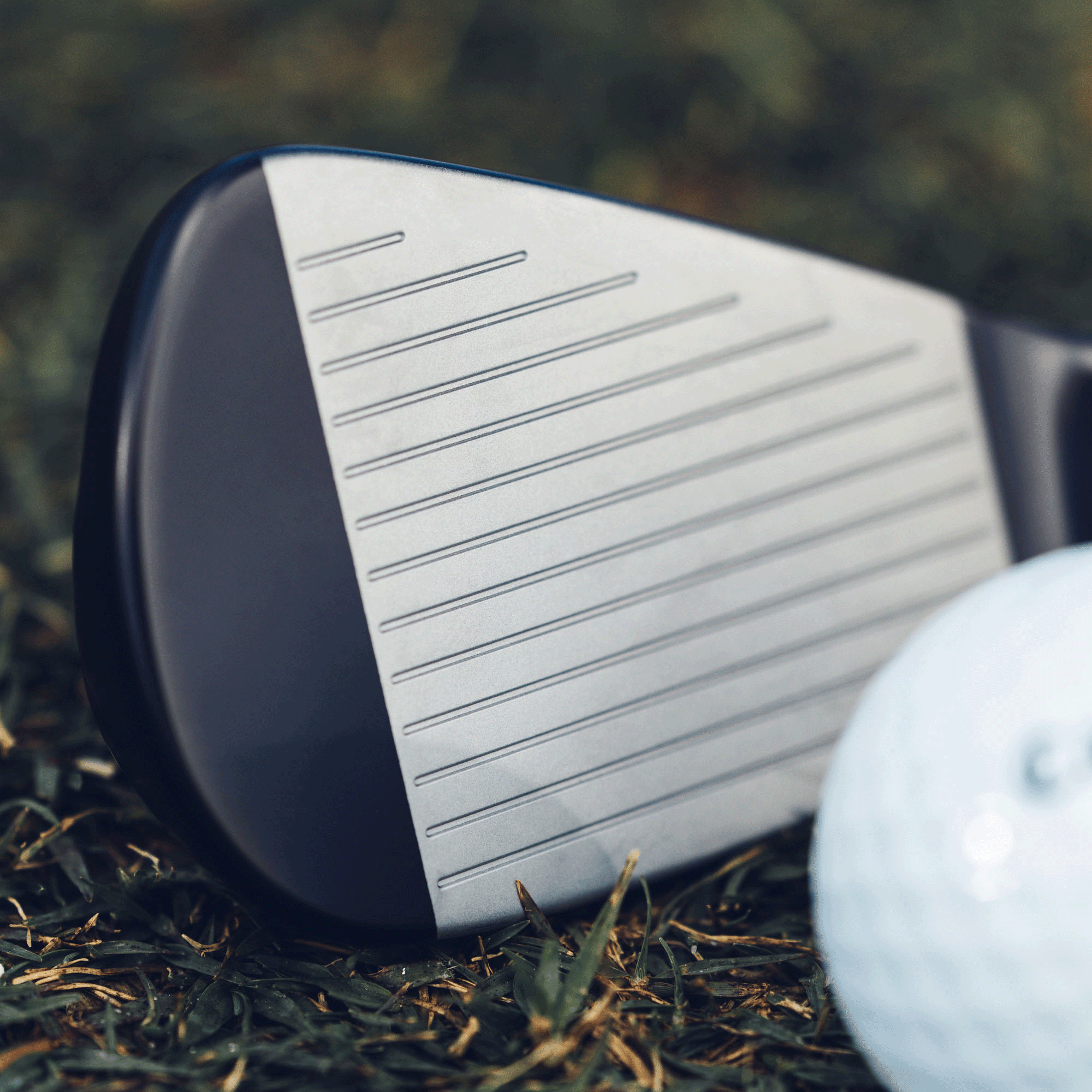 Apex Ai200 Black Shadow Irons image 3