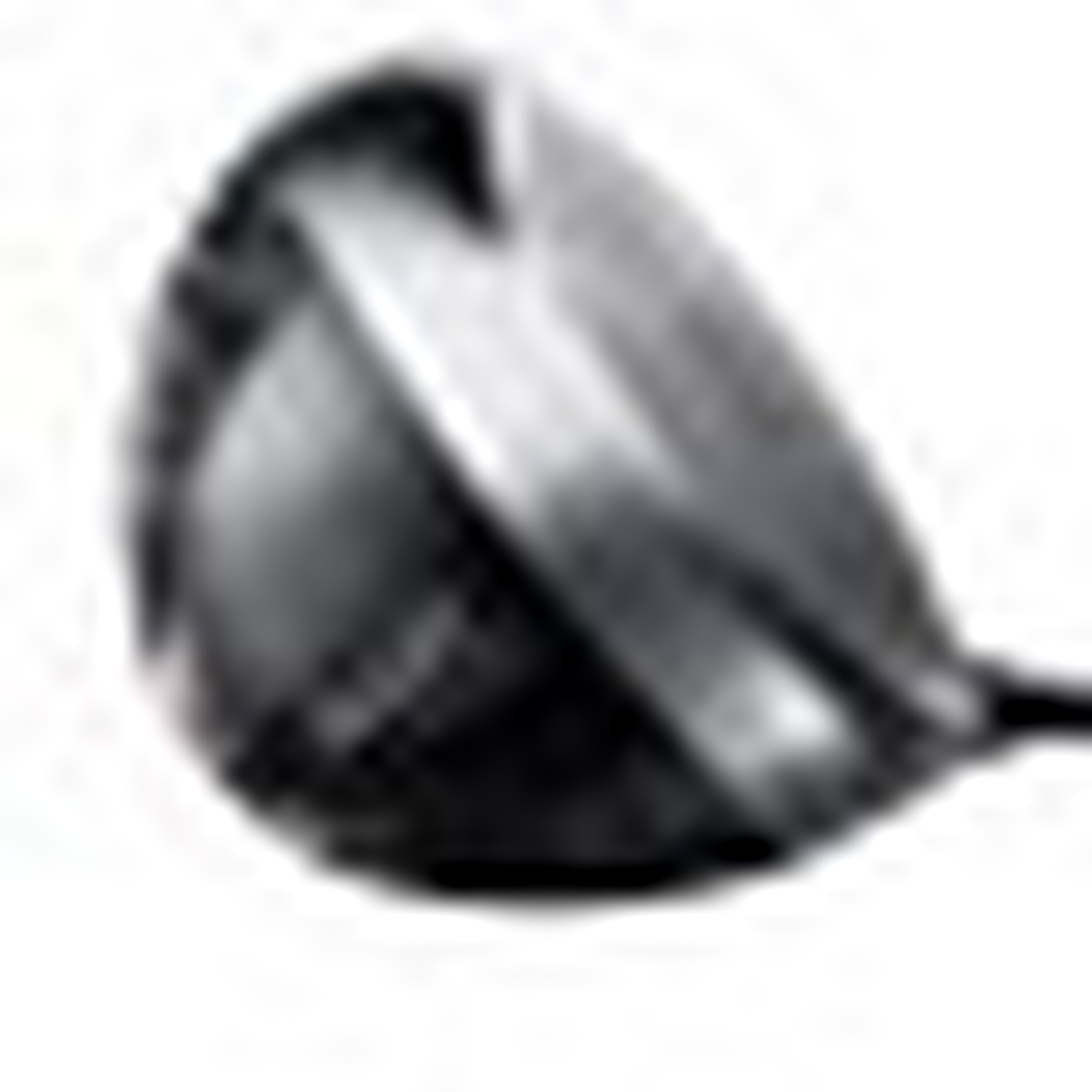 RAZR Hawk Drivers image 15