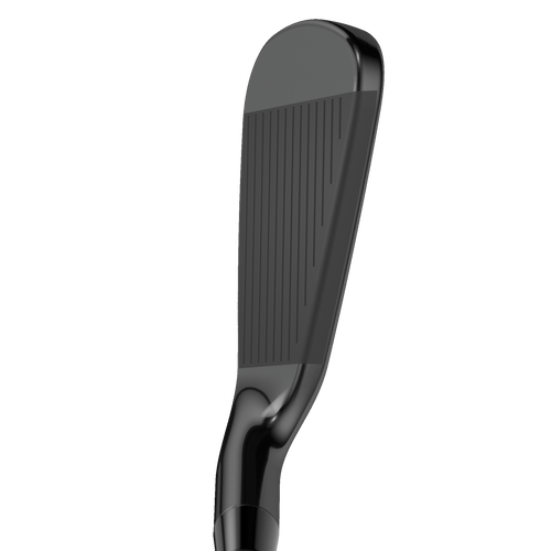 Apex 21 Black Irons - View 2