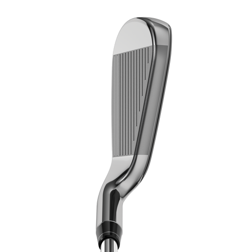 Big Bertha Irons - View 2