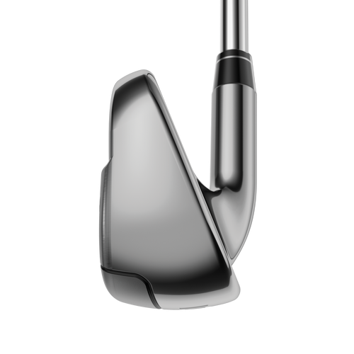Big Bertha Irons - View 4
