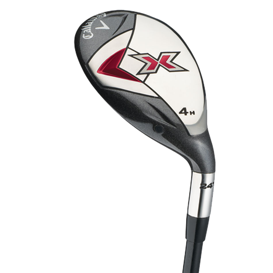 X24 Hybrids image 1