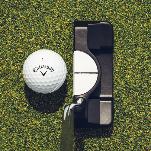 Ai-DUAL Double Wide &frac12; Ball Putter - View 2