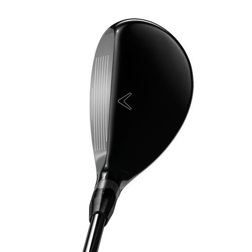 Big Bertha Hybrids - View 3
