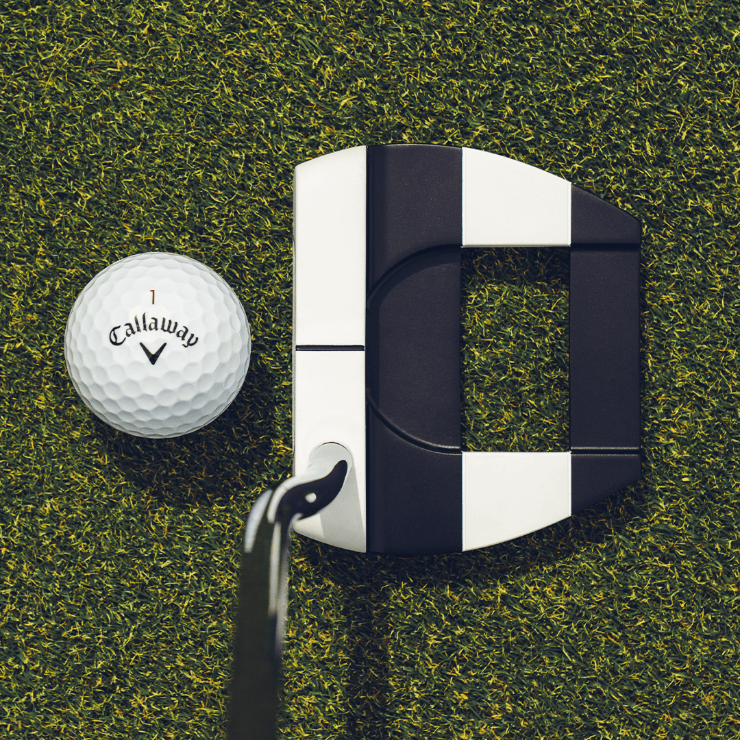 Ai-DUAL Jailbird Mini Putter image 2