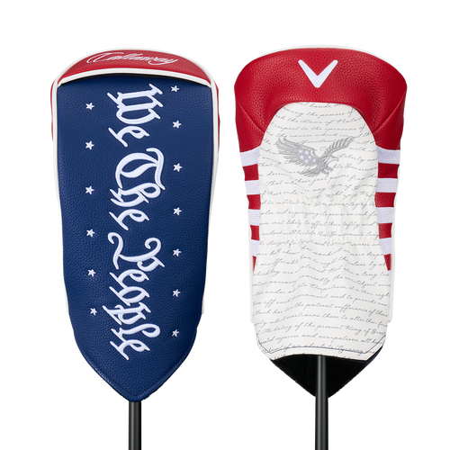 USA 250 Quantum Max Driver - View 10