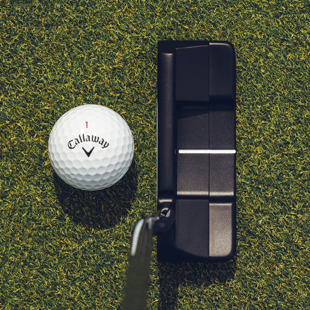 Ai-DUAL Double Wide Putter image 2