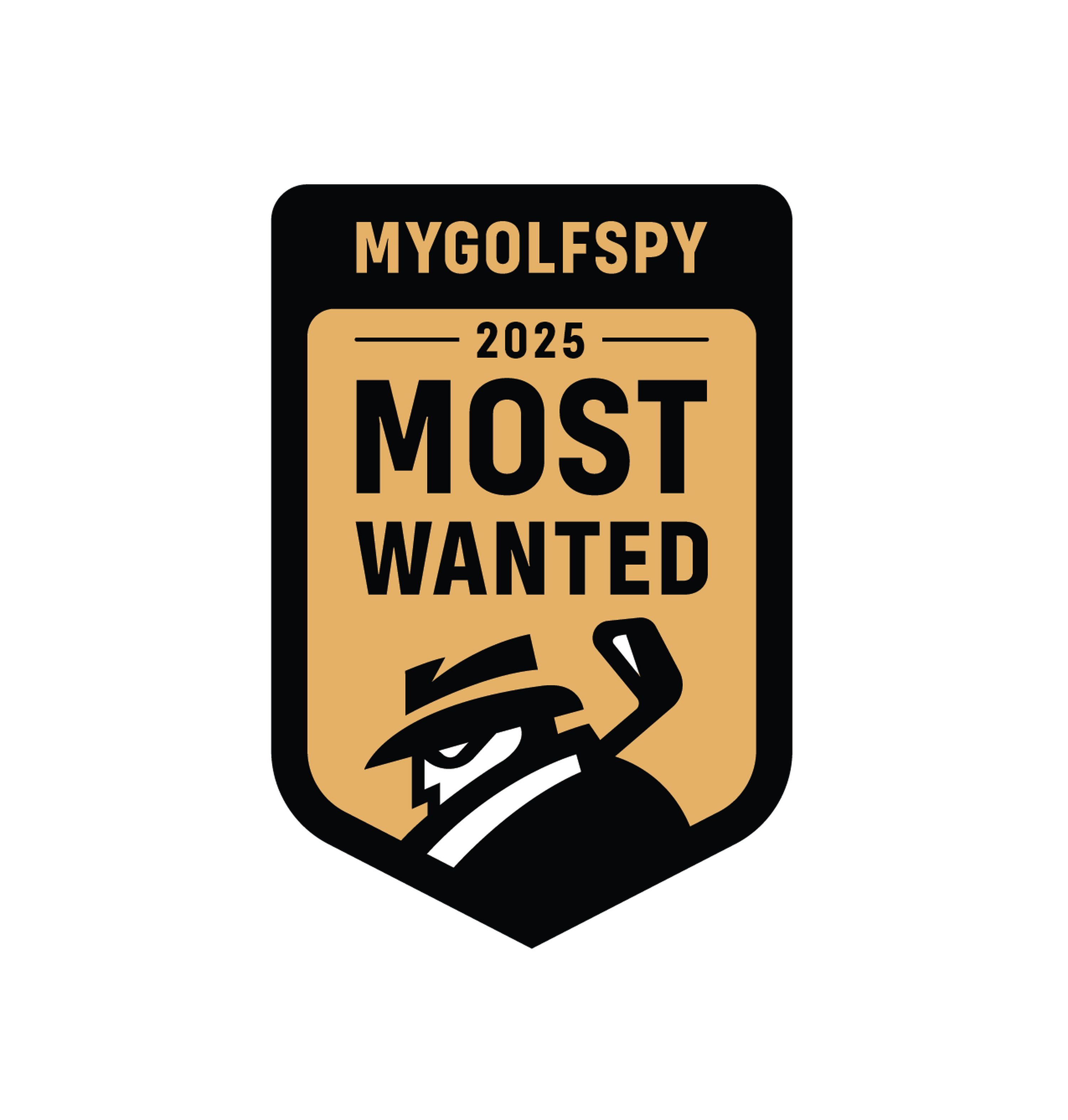 Product awards badge